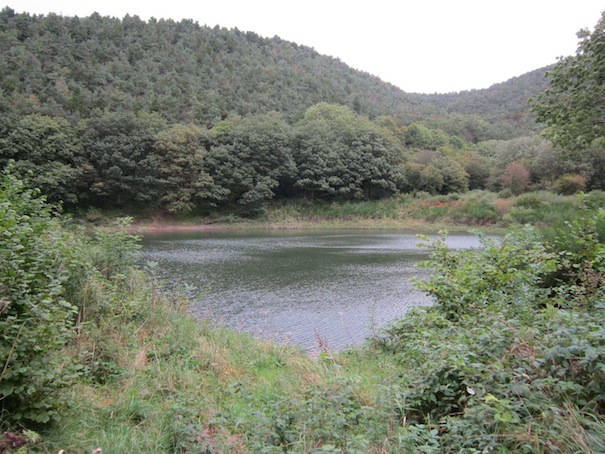 Jean.Main reservoir, Snailbeach