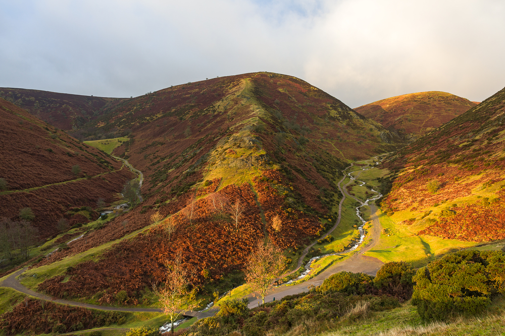 Birds of the Shropshire Hills 1