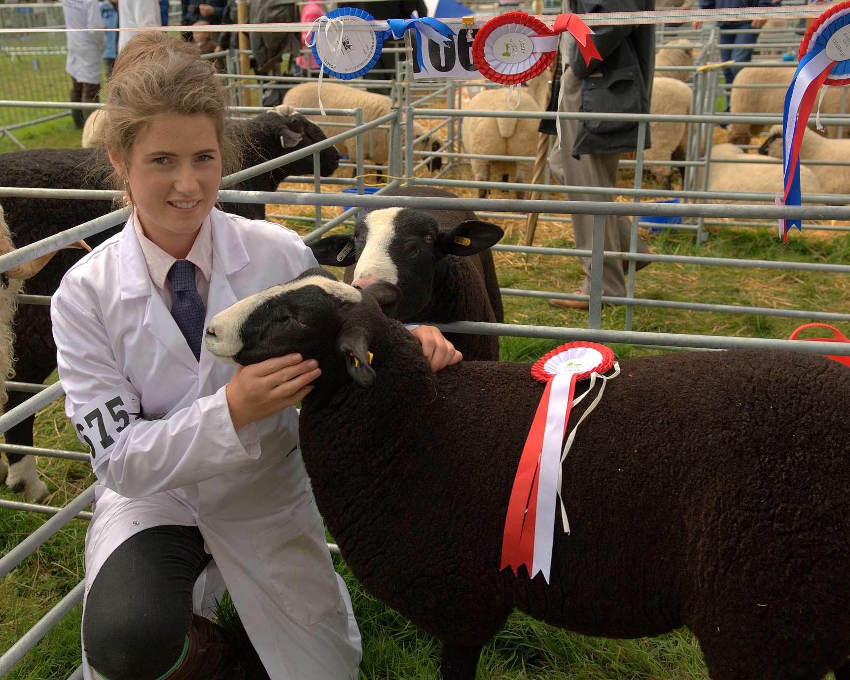 Burwarton Show shines 3