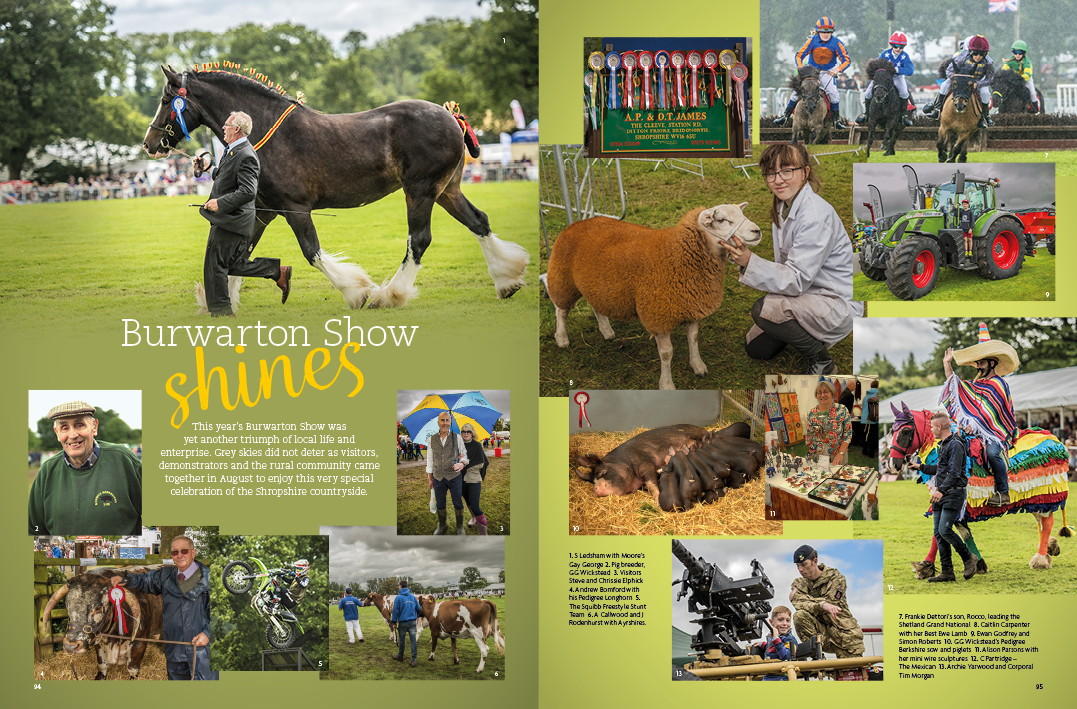 Burwarton Show shines