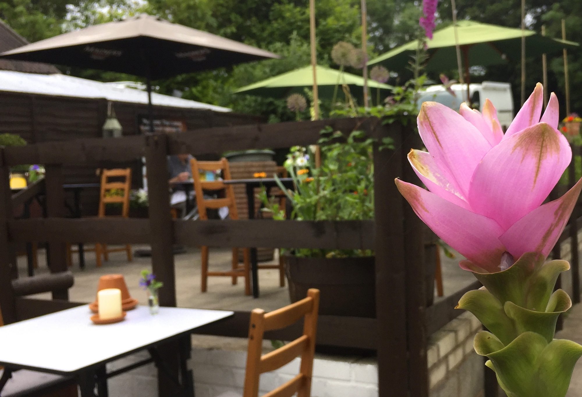 RESTAURANT REVIEW: The King and Thai, Broseley 2