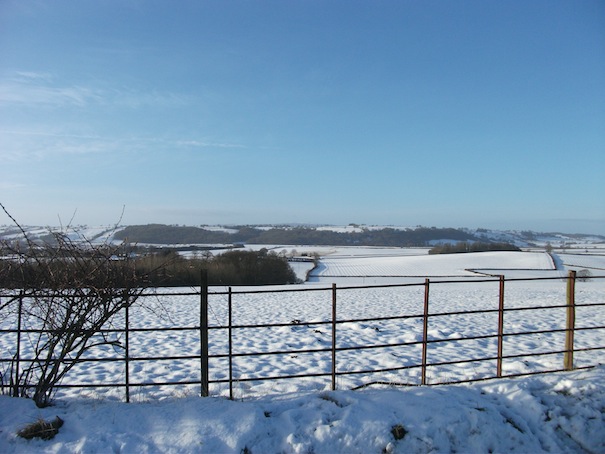 wildlife diary snowy scene 